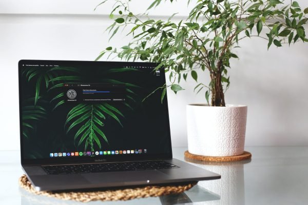 02. Edição e Montagem